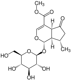 Strukturformel von Verbenalin