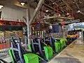 „Verbolten“ Zierer Elevated Seating Launch Coaster in Bush Gardens Williamsburg