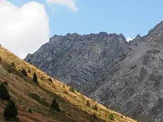 Verdinser Plattenspitze von Meran 2000 aus gesehen.