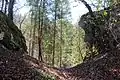 Blick nach Westen auf den Halsgraben.