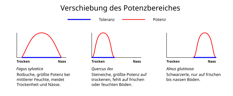 Grafik der Verschiebung des Potenzbereichs