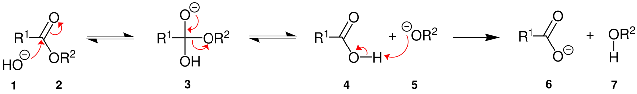 Verseifung Mechanismus