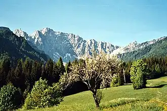 Wertatscha von Norden aus dem Bodental