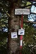 Wegweiser für Zentralalpenweg und Via Alpina am Steinplan