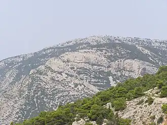 Vidova Gora