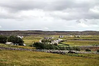 Blick über Callanish