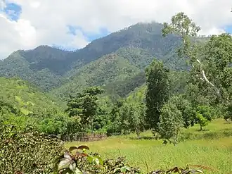 Blick auf den Curi, westlich von Subau