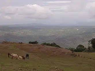 Blick auf das Fuiloro-Plateau vom Funkturm auf dem nordwestlich gelegenen Monte Laleno aus.