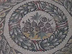 Feigen