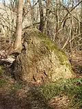 Menhir de Pierre Frite