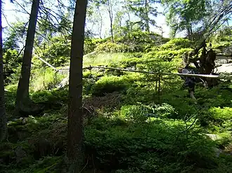 Vintířova skála