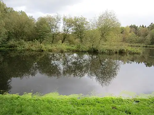 Mühlenteich bei der Bullmühle