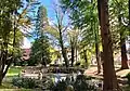 Visselquelle im Park an der Kirche