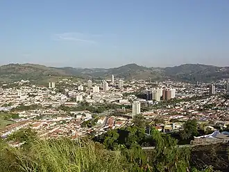 Amparo