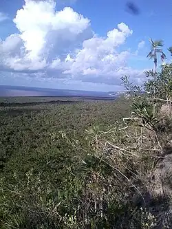 Nationalpark Desembarco del Granma