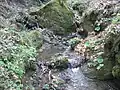 Der Vivo nahe der Quelle und nahe dem Ort Vivo d’Orcia