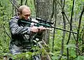 Angeblich rettete Putin mit einem Betäubungsgewehr Anwesende vor einem Tiger-Angriff[493]