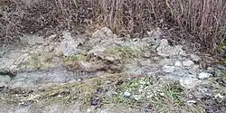Quelle des Voßbach bei Ennigerloh