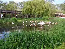 Vogelpark Niendorf