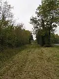 Via Agrippa zwischen Sainte-Sévère und Cherves-Richemont im Département Charente