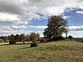 Herbstliche Heidelandschaft auf der Kuppe