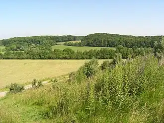 Blick auf den Vorbergshügel, vom Lärmschutzwall der Autobahn aus