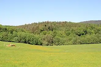 Vorderer Gleisberg