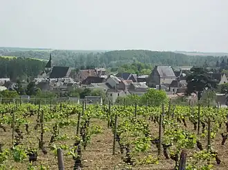 Weinort Reuilly