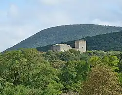 Burgruine