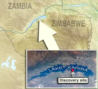 Discovery site (Simbabwe)