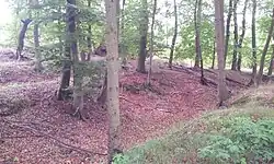 Vier Wälle zwischen Kleinem Stadtsee und dem Eichsee / Zippelower Bachtal