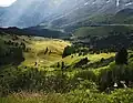 Bustiglen und Arvengarten