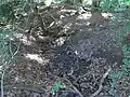 Abfluss in einen eigenen Graben am Weg
