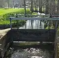 Der Wöschhüslibach (nach vorne) zweigt vom nach links fliessenden Oberburgbach ab