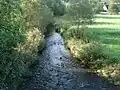 Die Württembergische Eschach in Horgen