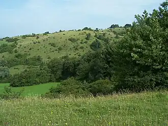 Blick von Süden auf die Alte Warth