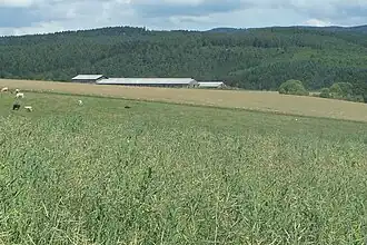 Ansicht von Westen