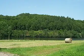 Blick vom Seeufer nach Norden zum Karthäuserberg.