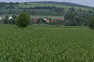 Teilansicht von Osten (Berka/Werra)