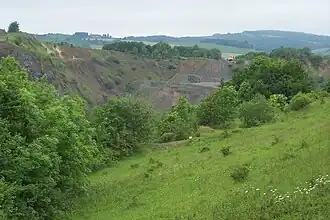 Der Steinbruch am Höhn bei Klings
