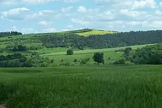 Der Stechberg