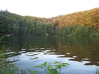 Schönsee