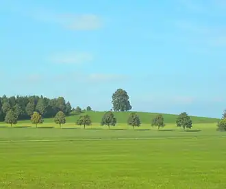 Wachbühl