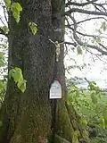 Wegekreuz