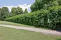 Laubengang zum Wacholderweg von der Wiese gesehen