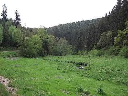 Naturschutzgebiet Wadrilltal