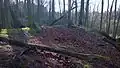 Der Burghügel in Blickrichtung Westen