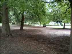 Im Waroonga-Park (2018)