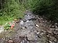 Unterlauf des Flusses