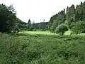 Waldlichtung am Lieserpfad